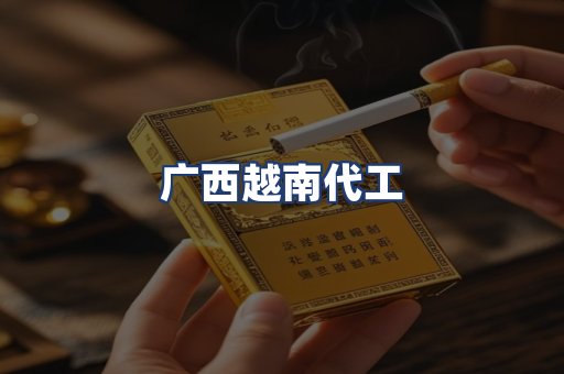 广西越南代工